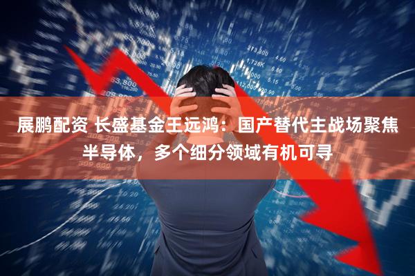 展鹏配资 长盛基金王远鸿：国产替代主战场聚焦半导体，多个细分领域有机可寻