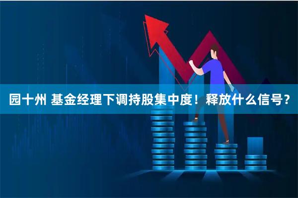 园十州 基金经理下调持股集中度！释放什么信号？