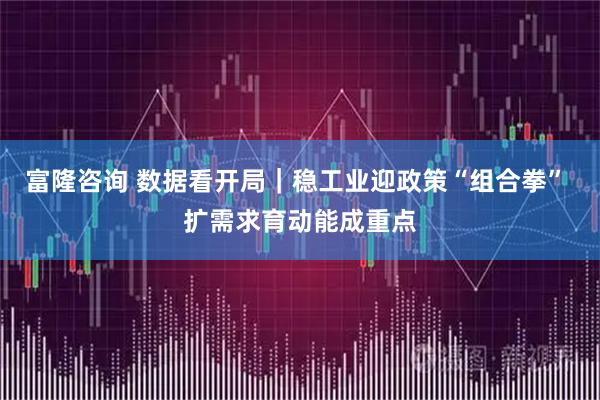 富隆咨询 数据看开局｜稳工业迎政策“组合拳” 扩需求育动能成重点