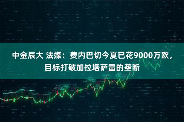 中金辰大 法媒：费内巴切今夏已花9000万欧，目标打破加拉塔萨雷的垄断